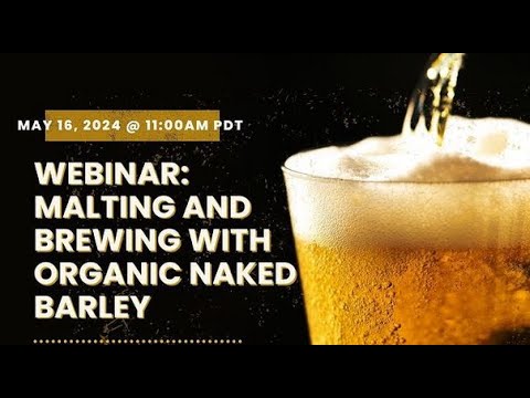 Malting and Brewing with Organic Naked Barley - YouTube