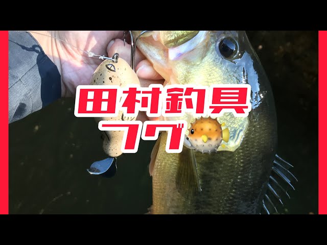 田村釣具 ふぐ【水面奇術】#268 再放送 - YouTube