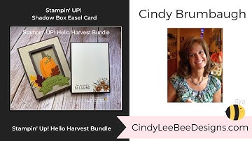 Shadow Box Easel Card