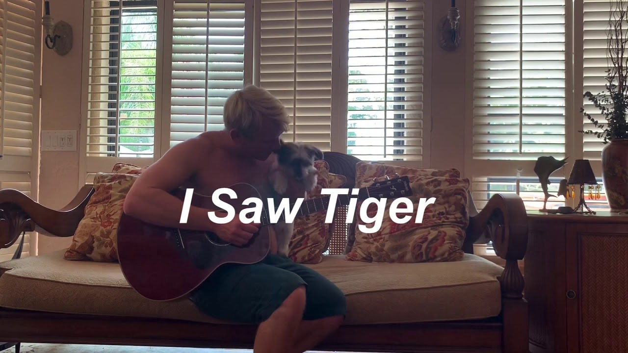I Saw Tiger Doug Macrae (Joe Exotic Cover) YouTube