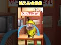 【猫ミーム】愛されネーム　#2ch #2ch面白いスレ #猫ミーム #ゆっくり解説