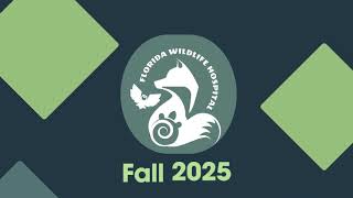 Fall Update