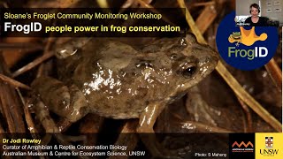 FrogID People power in frog conservation with Dr Jodi Rowley