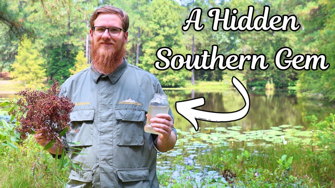 Южный «лимонадный завод», который затмит магазинный!