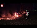 Waldbrand in Kloster Lehnin: Ungewöhnliches Feuer im Frühjahr beschäftigt Polizei