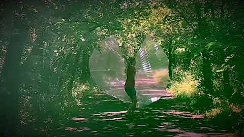Dragonfly by Gordon McKinney, Choreography by Heat...
