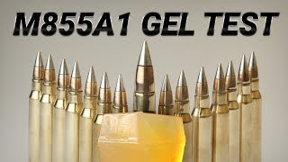 The Armys New Ammo Is A Long Distance Devastator - M855A1 Gel Test
