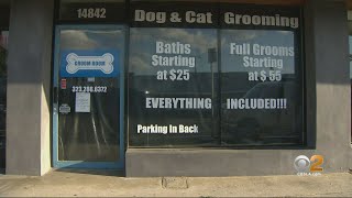 Coronavirus: Business Owners Facing Criminal Charges Over Safer At Home Violations Say They Complied
