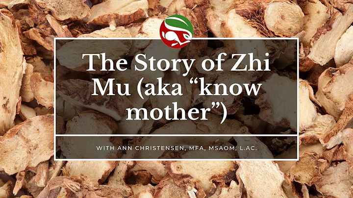 The Story of Zhi Mu (aka “know mother”) - DayDayNews