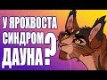 У Ярохвоста было тяжелое генетическое заболевание? КОТЫ ВОИТЕЛИ.  Ответы на Интерактив "ДА-НЕТ" №5.