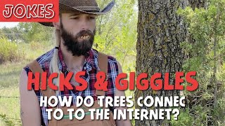 Redneck dad jokes: How do trees connect to the internet