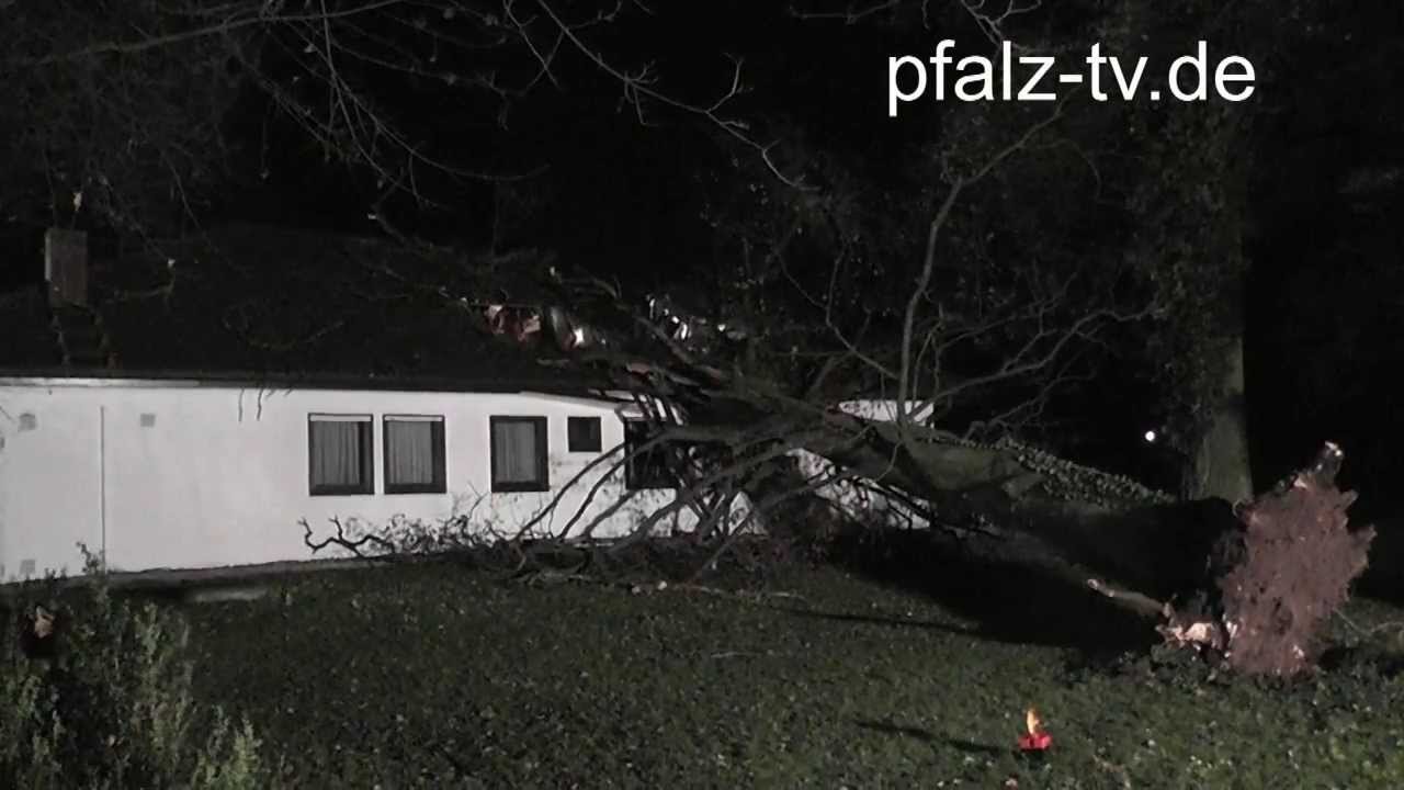 Sturmtief Xaver in der Vorderpfalz - Riesiger Baum durchschlägt Dach eines Bungalow in Essingen
