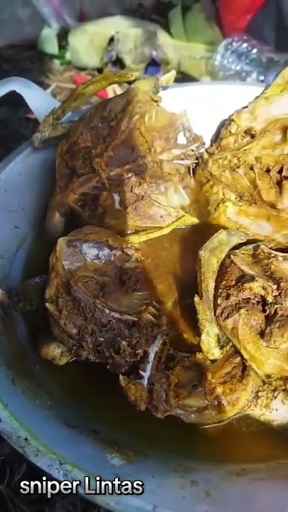 hunting berburu bersama #sniperlintas