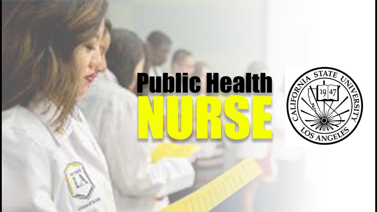 Public Health Nurse Promotional Video YouTube