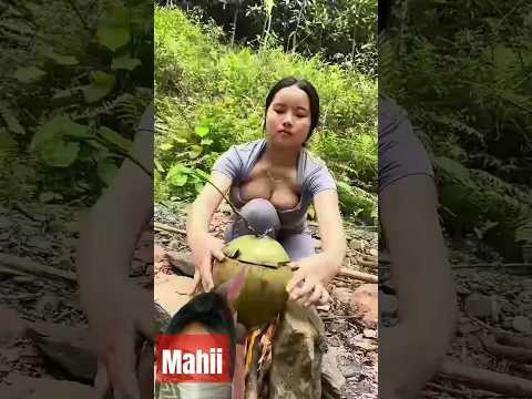 #campping #coconut #fruit #eating #cooking #survival #camping
