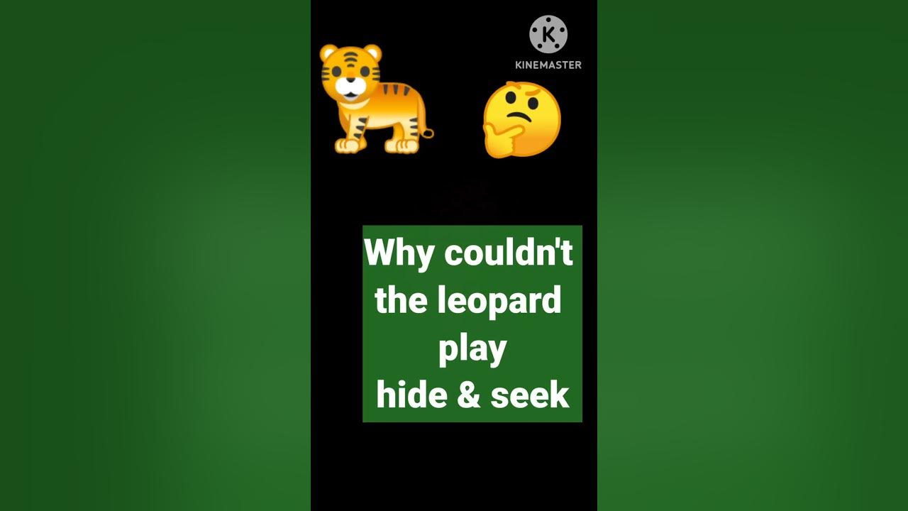 WHY LEOPARDS CANNOT PLAY HIDE SEEK THINK OF A WITTY ANSWER why-leopards-cannot-play-hide-seek-think-of-a-witty-answer