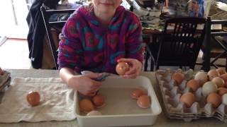 We love it when the family members are interested in helping out.
payton is one of our hard working nieces who always wants to learn
something new on far...