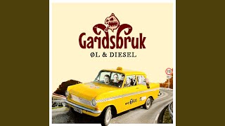Video thumbnail of "GardsBruk - Syden tjoåhei"