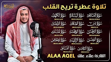 علاء عقل | سورة الفاتحة البقرة الكهف يس الواقعة الرحمن الملك الصافات الدخان الجن الزلزلة الاخلاص,