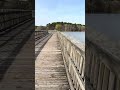 Quiet Walk on Crabtree Creek Trail 🌿 | Raleigh NC Nature Sounds