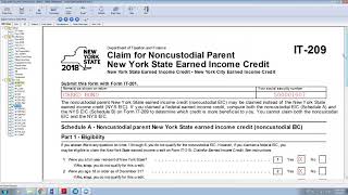 Noncustodial Parent New York State Earned Income Credit