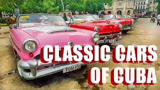 Driving A Classic Car In Cuba Resimi
