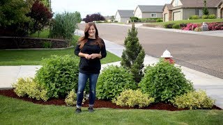 Landscape Makeover | 2-Year Garden Transformation by Proven Winners