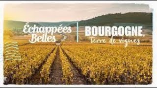 La Bourgogne, terre de vignes  Échappées belles