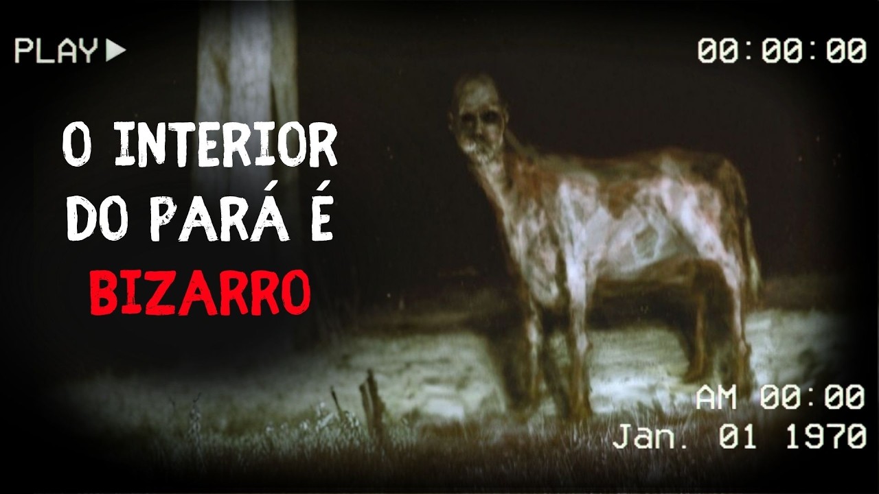 POV: São 3 da manhã no interior do Pará 💀