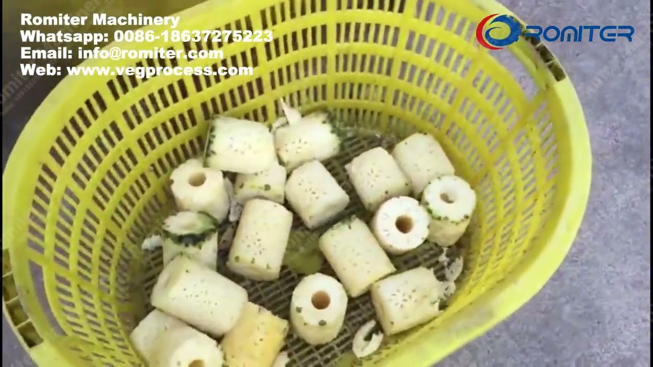 Eplucheur Leclerc Éplucheur électrique Automatique – Pour Pommes De Terre, Pommes, Poires Et Autres Légumes éplucheur Automatique Pommes De Terre