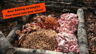 Bear Baiting Strategies How Much Bait How Often?