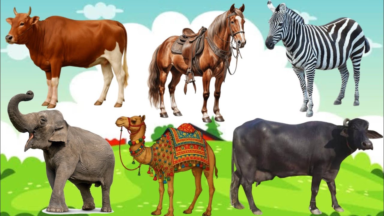 Animals Names For Kids | cartoon animated videos | kids animation song animal name with sound 