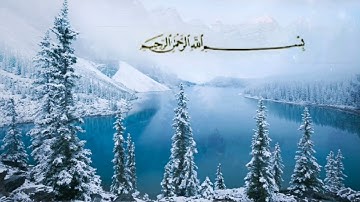 الجزء الرابع عشر من القران الكريم بصوت الشيخ ماهر المعيقلي