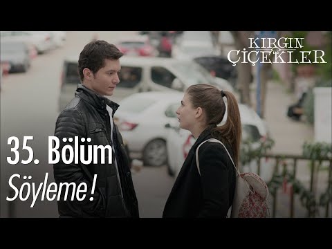 Güney ile Kader anlaşıyor! - Kırgın Çiçekler 35. Bölüm