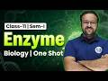 Enzymes (উৎসেচক) One Shot | Class 11 Biology Semester 01 |  Complete Concept &amp; MCQ