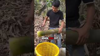 This Method Is Amazing - Bamboo Lifehack 🤯