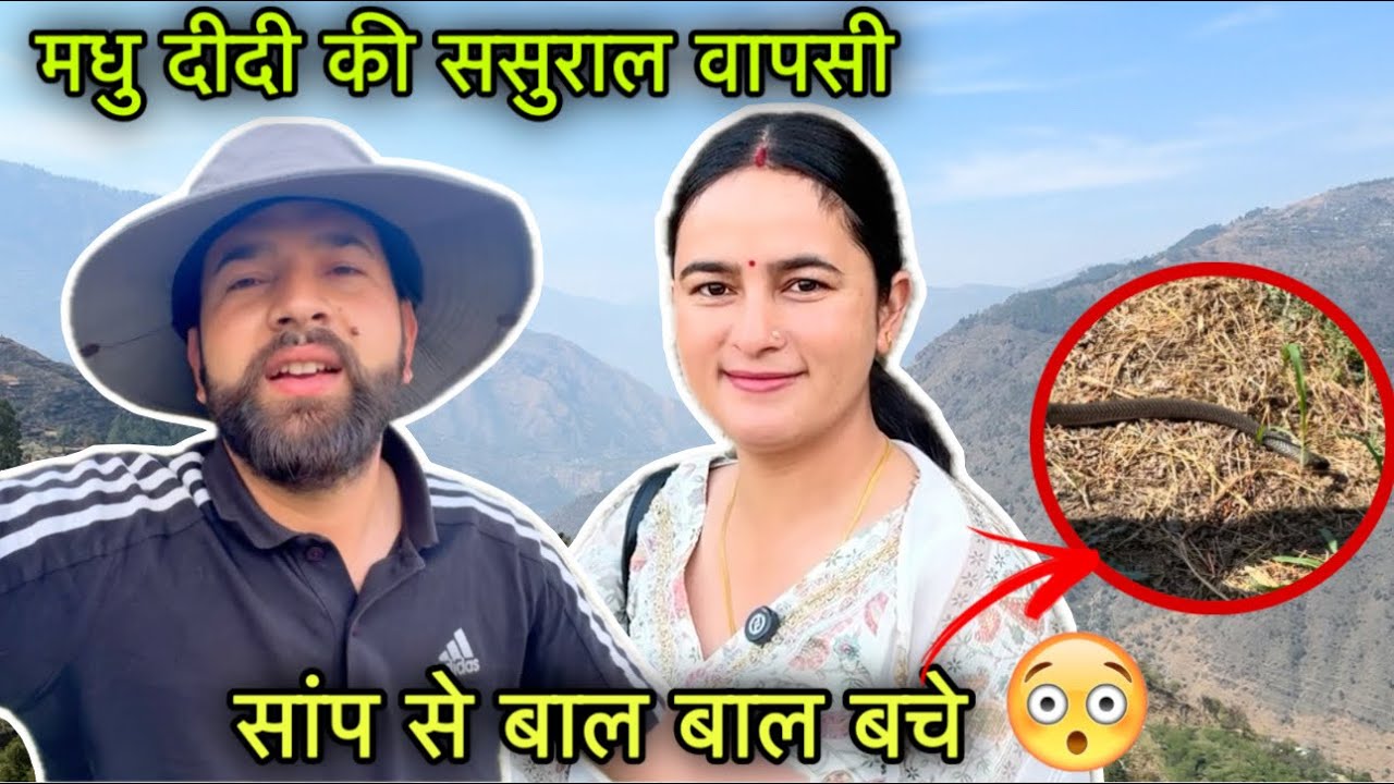 थोड़े से दिनों के बाद मधु दीदी वापिस चले गए || ख़तरनाक साँप मिला || Himachali village lifestyle vlog