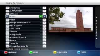 Best IPTV HD - Arabic channels (example) screenshot 4