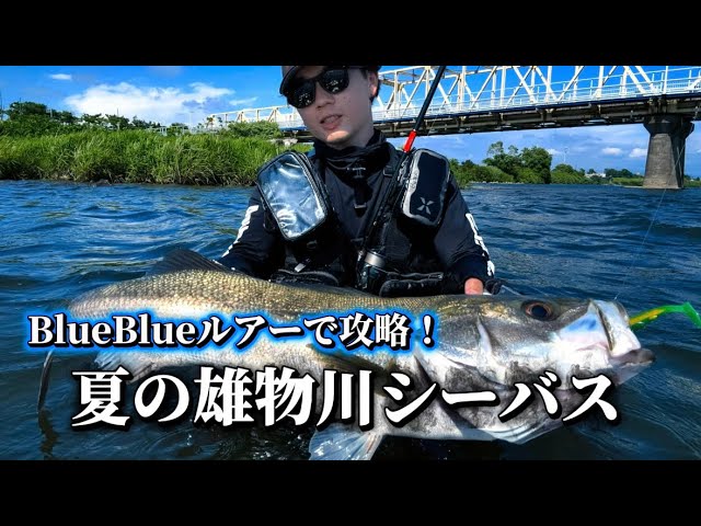 いよいよ発売！BlueBlue初のシーバスロッド【BALBAL99】を高橋優介が