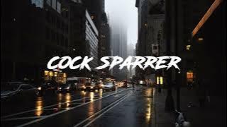 Cock sparrer - we're coming back Lyrics