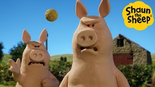 : Shaun the Sheep  Pig Panic - Cartoons for Kids  Full Episodes Compilation [1 hour]