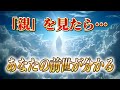 【斎藤一人】※あなたの親を見たら前世のカルマがわかります。人生がちょっとだけ変わる因果と生まれ変わりの話