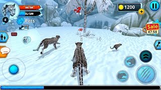 Snow Leopard Family Sim (by Area730 Entertainment) Android Gameplay [HD] screenshot 3