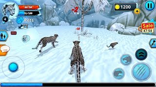 Snow Leopard Family Sim (by Area730 Entertainment) Android Gameplay [HD] screenshot 4