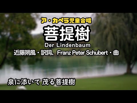 「菩提樹」曲：シューベルト（金竜少年少女合唱団）