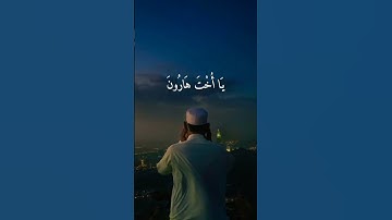 القرآن الكريم راحة نفسية تلاوة خاشعة حالات واتس اب قرآن كريم