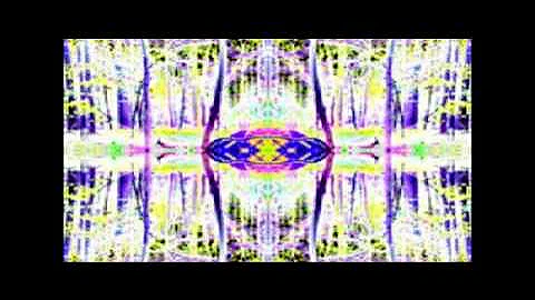 Scott Mandelker PhD: The Law of One, Session 12 (1)