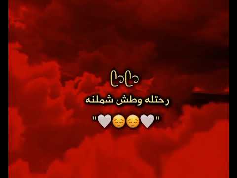 على دارك من يحط الطير احاجي واكله شلون اهلنه مرتضى حرب لايك و اشتراك