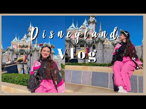 Disneyland Vlog 2024!  Disney during Winter!