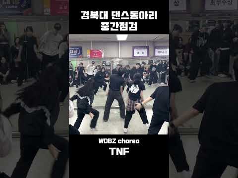 #shorts <strong>경북대</strong> 댄스동아리 TNF 커버댄스 #WDBZ #술